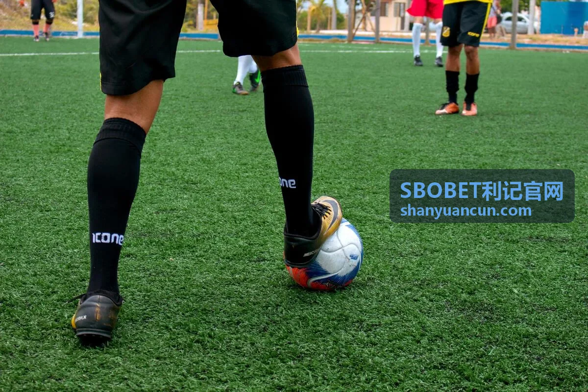SBOBET利记精准数据